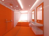 Orange Style Bathroom Design Idea