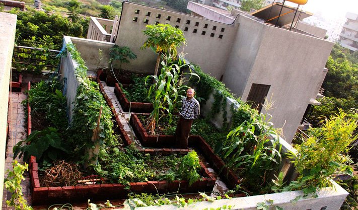 Pune_Terrace_Garden_334836397 How to add terrace garden in home?