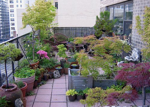 Terrace-Gardening3 How to add terrace garden in home?