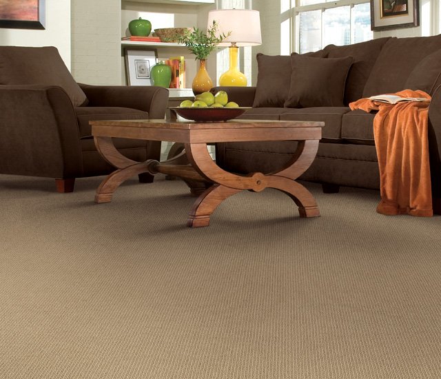CarpetLivingRmAnotherSunset Hardwood versus carpeting- Which flooring is the best for your home