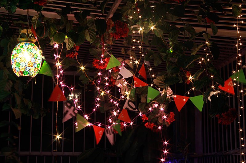 5-garden-decor-india-fairy-lights How to décor home for Lohri?