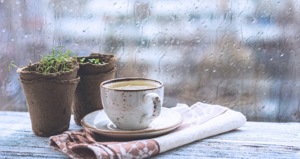 Home Décor Ideas for monsoon rainy-season-tips-enjoy-at-home-1000x530 rainy-season-tips-enjoy-at-home-1000x530 Home Décor Ideas for monsoon