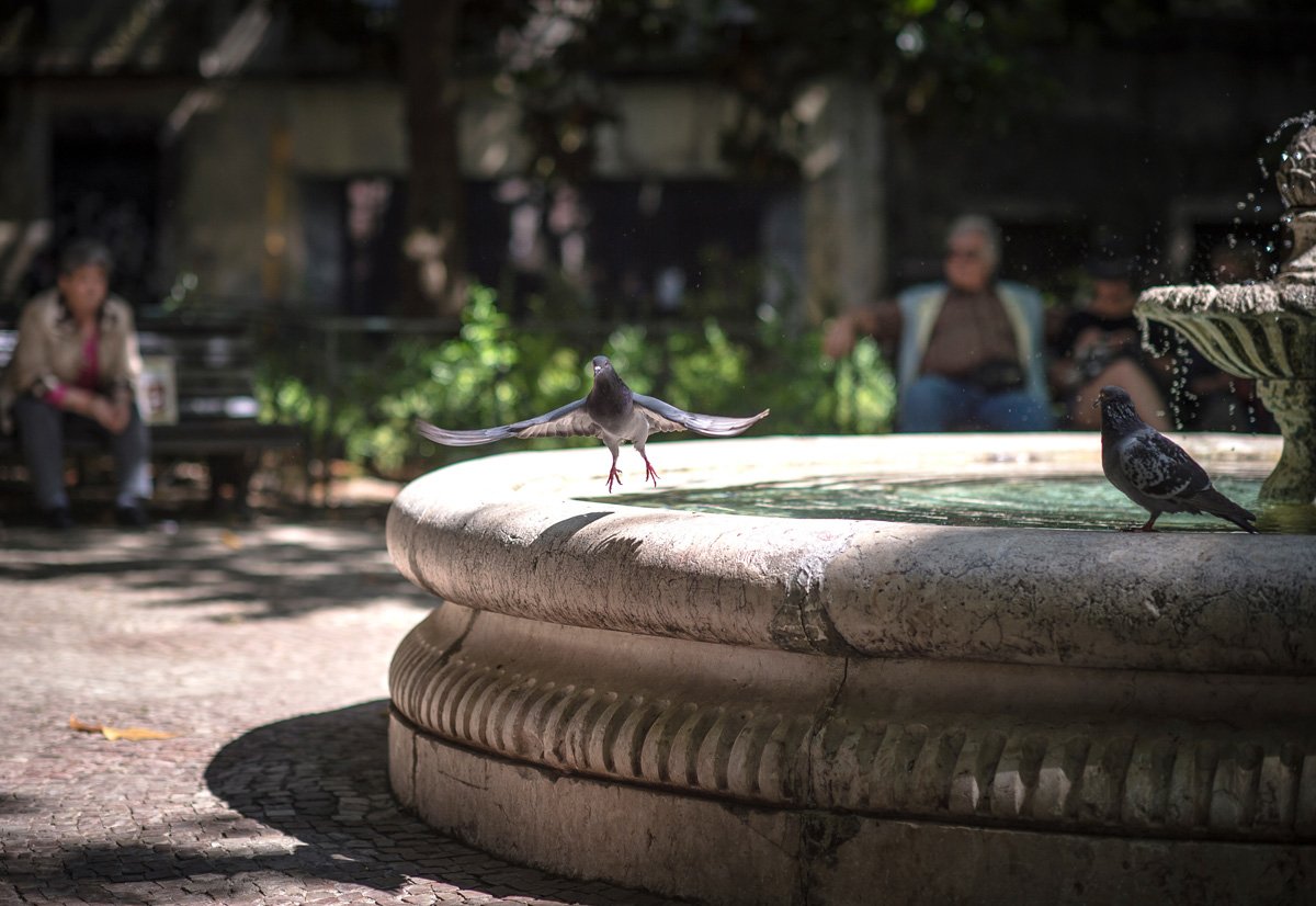 bird-bath-with-small-bubbling-fountain Splashing Out On the Right Water Feature For Your Garden