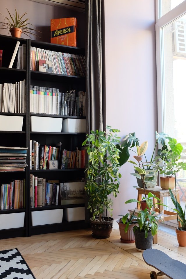 how-to-decorate-home-library-1 How To Decorate Your Home Library This Lockdown?