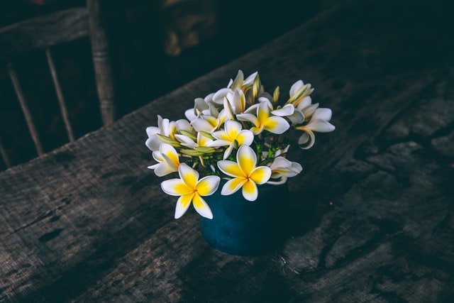 6 Points To Consider While Taking Care Of Your House Plants summer-decor-ideas-3 summer-decor-ideas-3 6 Points To Consider While Taking Care Of Your House Plants