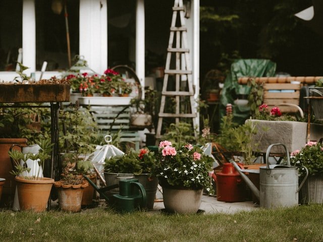 6 Points To Consider While Taking Care Of Your House Plants house-plant-care-1 house-plant-care-1 6 Points To Consider While Taking Care Of Your House Plants